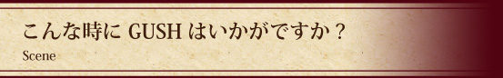 こんな時にガッシュはいかがですか?